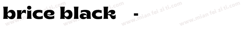 brice black字体下载字体转换